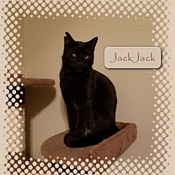 Photo of JackJack