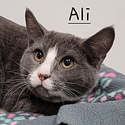 Photo of Ali