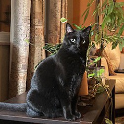 Photo of Izzy