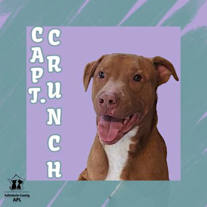 Thumbnail photo of Captain Crunch #1