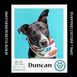 Thumbnail photo of Duncan (Cocoa Krispies) 020324 #3