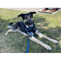 Photo of MAXIE