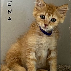 Photo of Xena