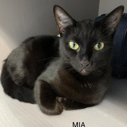 Thumbnail photo of Mia #1