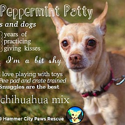 Thumbnail photo of Peppermint Patty #1