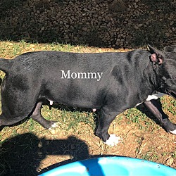 Photo of Mommy