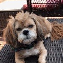 Photo of Jack