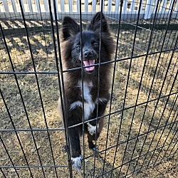 Photo of Zuko