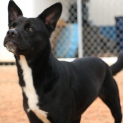 Photo of Diamond
