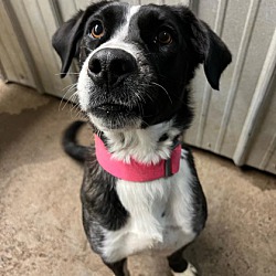 Photo of Mamas