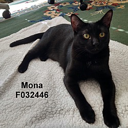 Thumbnail photo of Mona #1