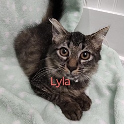 Thumbnail photo of Lyla #3