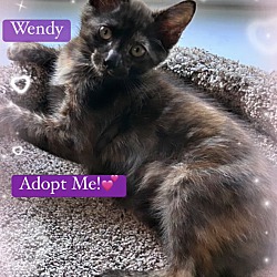 Thumbnail photo of Wendy #1
