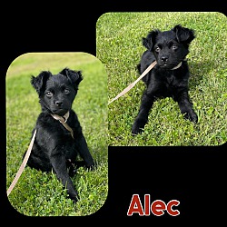 Photo of Alec