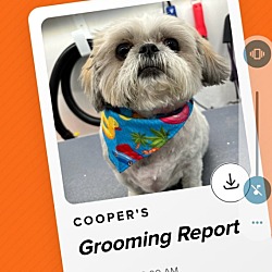 Thumbnail photo of Cooper #1