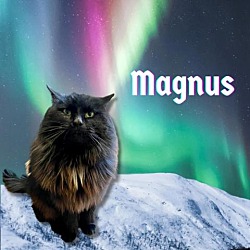 Photo of Magnus
