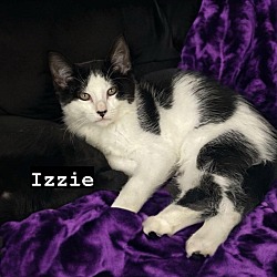 Photo of Izzie