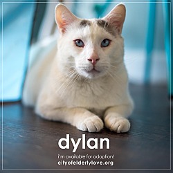 Thumbnail photo of DYLAN! #1