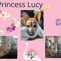 Photo of Princess Lucy