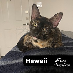 Thumbnail photo of Hawaii #1