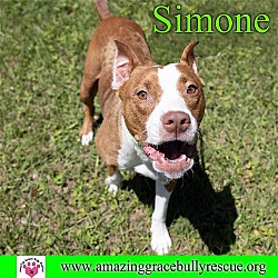 Thumbnail photo of Simone #3