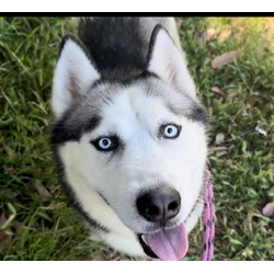 Photo of AXEL