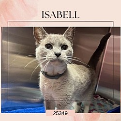 Thumbnail photo of Isabell #1