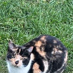 Photo of Fiona