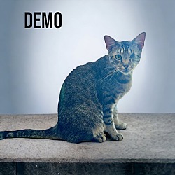 Thumbnail photo of Demo #2