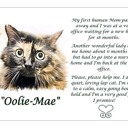 Thumbnail photo of Oolie Mae #3