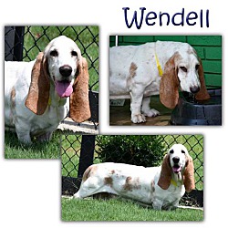 Photo of Wendell