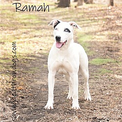 Photo of Ramah