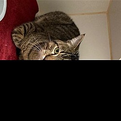 Photo of CAESAR