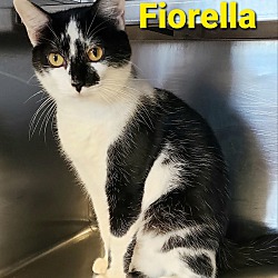 Thumbnail photo of Fiorella #2