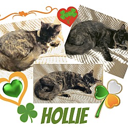 Photo of Hollie