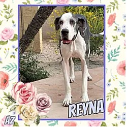 Photo of Reyna