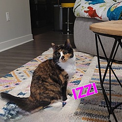 Photo of Izzi