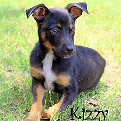 Thumbnail photo of Kizzy~adopted! #2