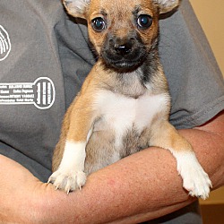 Thumbnail photo of Betty~adopted! #4
