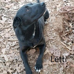 Photo of Letti