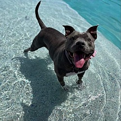 Photo of Nyla