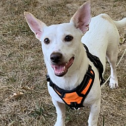 Photo of Rico