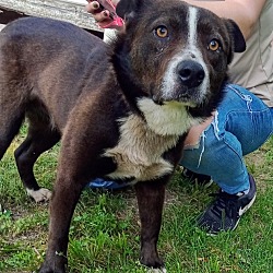 Photo of Leon