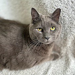 Photo of Smokey