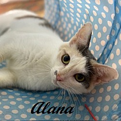 Thumbnail photo of Alana #2