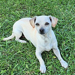 Photo of Momma Maggie