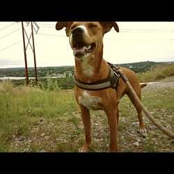 Thumbnail photo of Boone #4