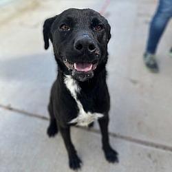 Photo of Duke