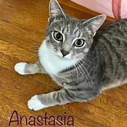 Photo of Anastasia