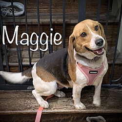 Photo of Maggie WV